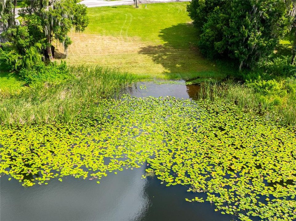 На продажу: $135,000 (1.43 acres)