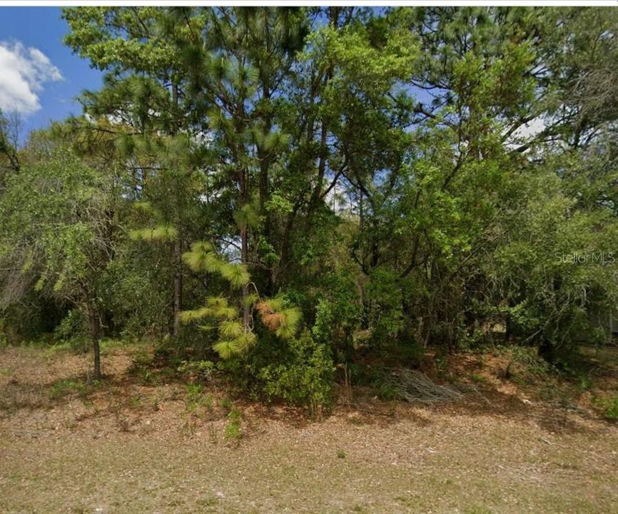 待售: $30,000 (0.26 acres)