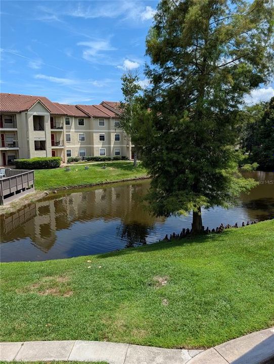 For Sale: $149,000 (2 beds, 2 baths, 937 Square Feet)