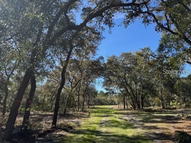 На продажу: $233,000 (16.17 acres)
