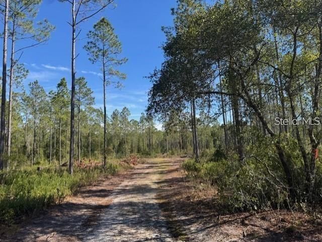 На продажу: $233,000 (16.17 acres)