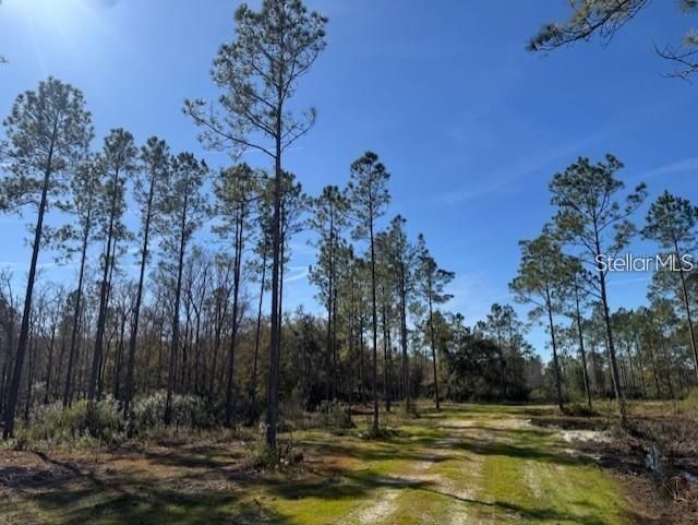На продажу: $233,000 (16.17 acres)