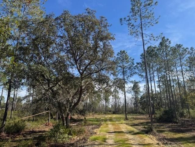 На продажу: $233,000 (16.17 acres)