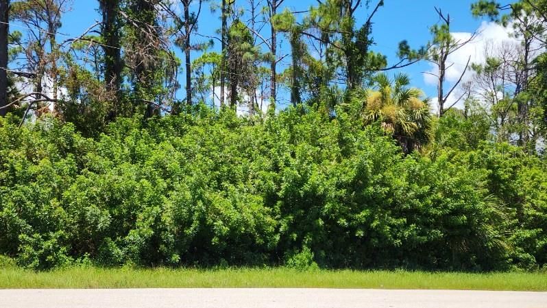 For Sale: $19,900 (0.23 acres)