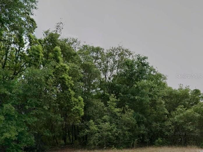 На продажу: $21,500 (0.24 acres)