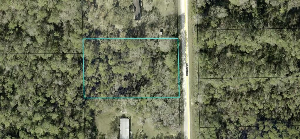 待售: $39,900 (1.19 acres)