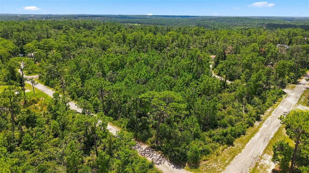 待售: $59,000 (0.81 acres)