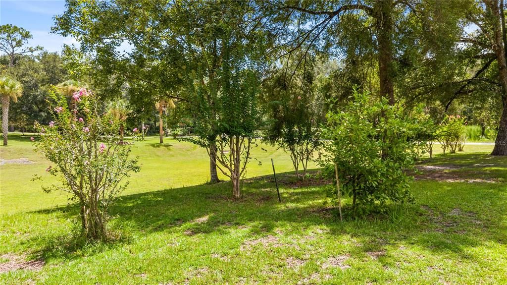 For Sale: $699,900 (6 beds, 3 baths, 4782 Square Feet)
