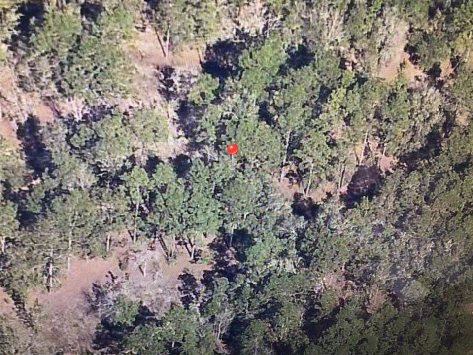 待售: $50,000 (0.79 acres)