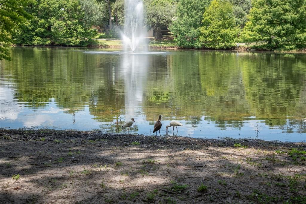На продажу: $399,900 (3 спален, 2 ванн, 1442 Квадратных фут)