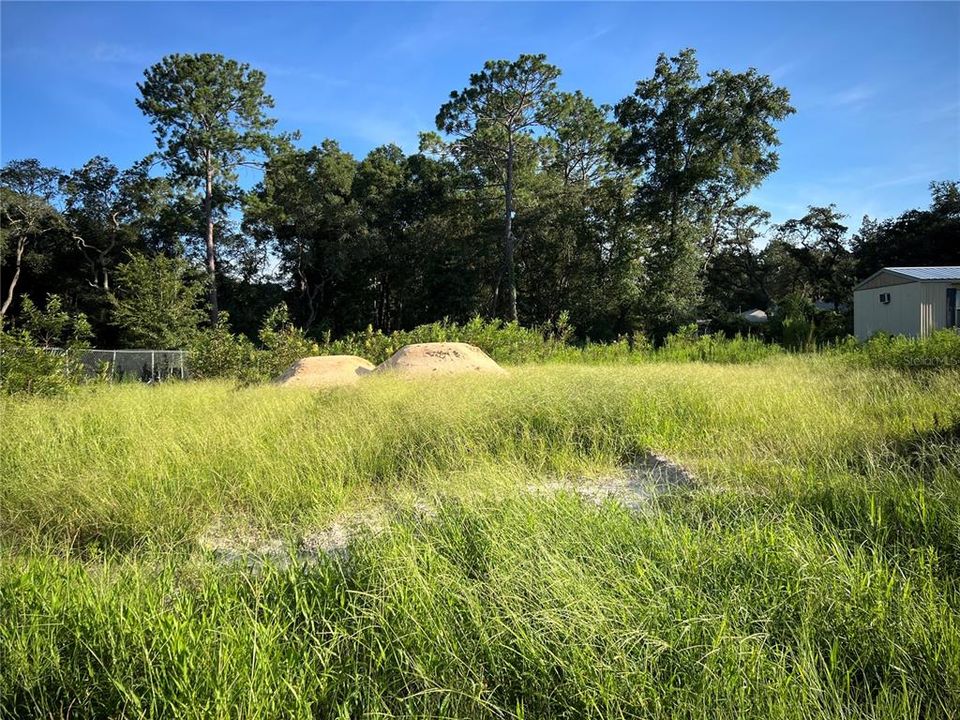 For Sale: $40,000 (0.24 acres)
