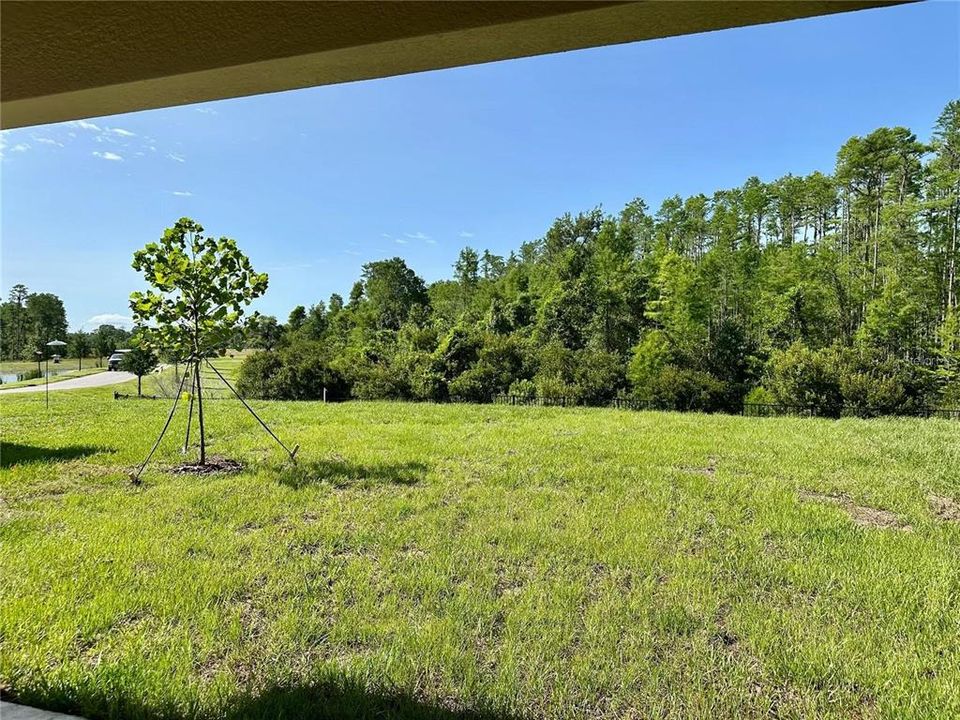 For Rent: $2,900 (5 beds, 2 baths, 2215 Square Feet)
