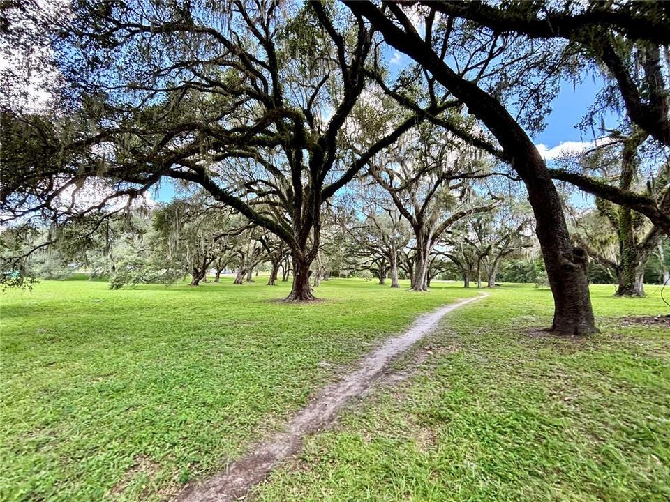 For Sale: $69,900 (0.86 acres)