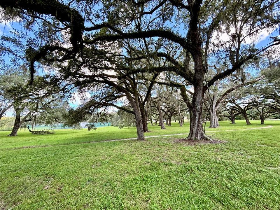 For Sale: $69,900 (0.86 acres)