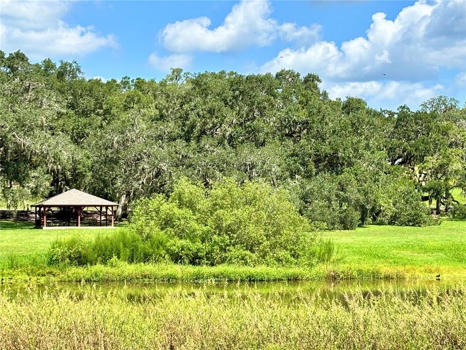For Sale: $69,900 (0.86 acres)