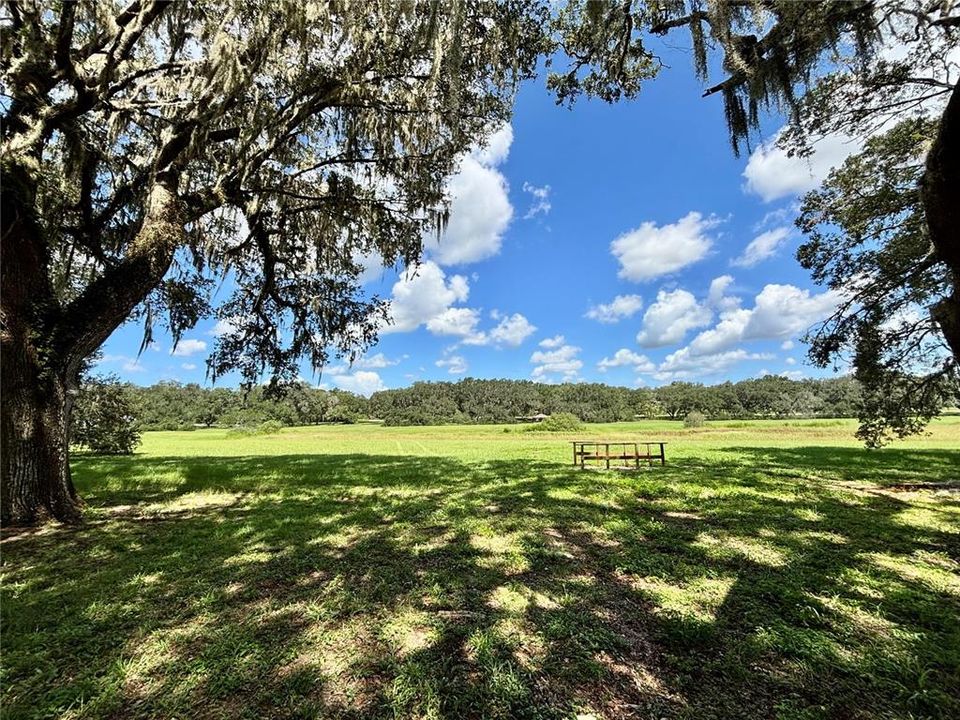 For Sale: $69,900 (0.86 acres)