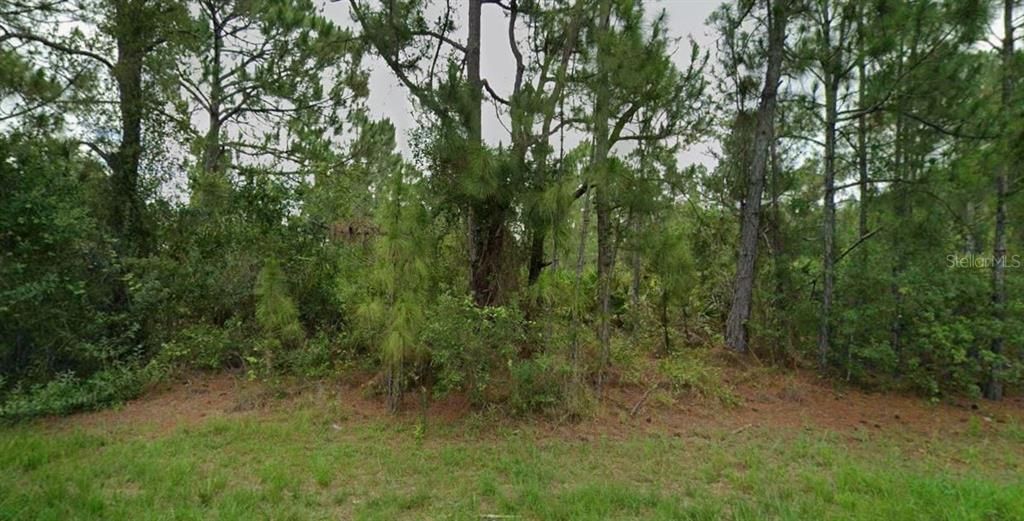 For Sale: $16,500 (0.23 acres)