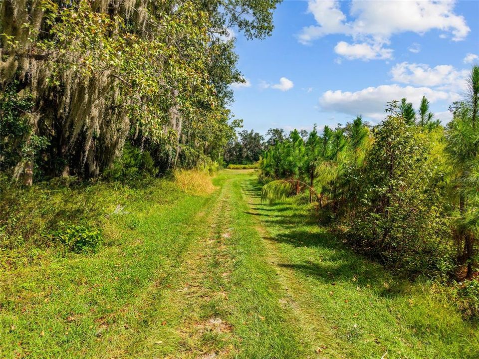 For Sale: $475,000 (17.51 acres)