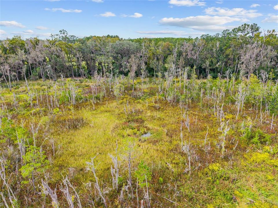 For Sale: $475,000 (17.51 acres)