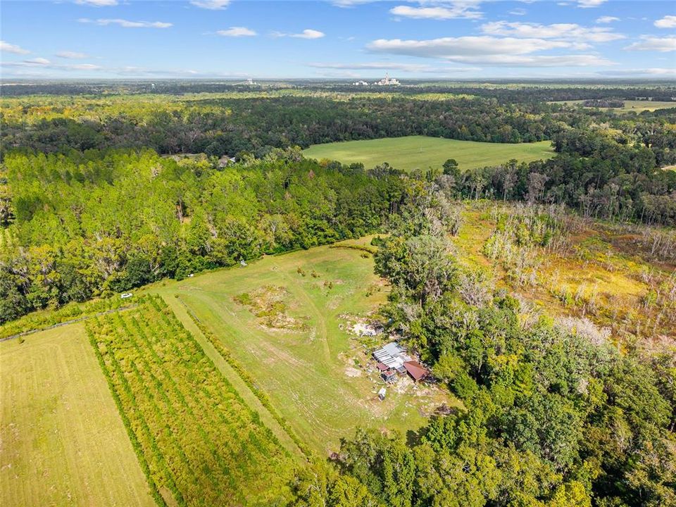 For Sale: $475,000 (17.51 acres)