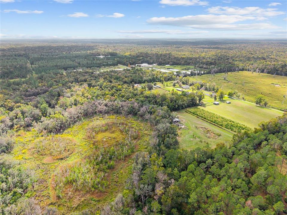 For Sale: $475,000 (17.51 acres)