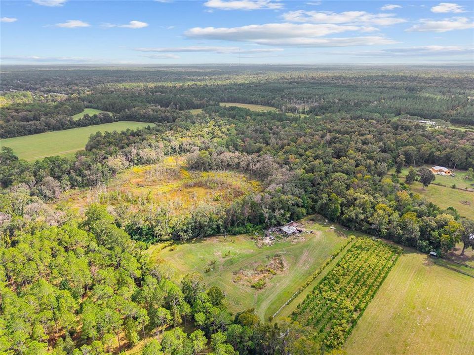 For Sale: $475,000 (17.51 acres)