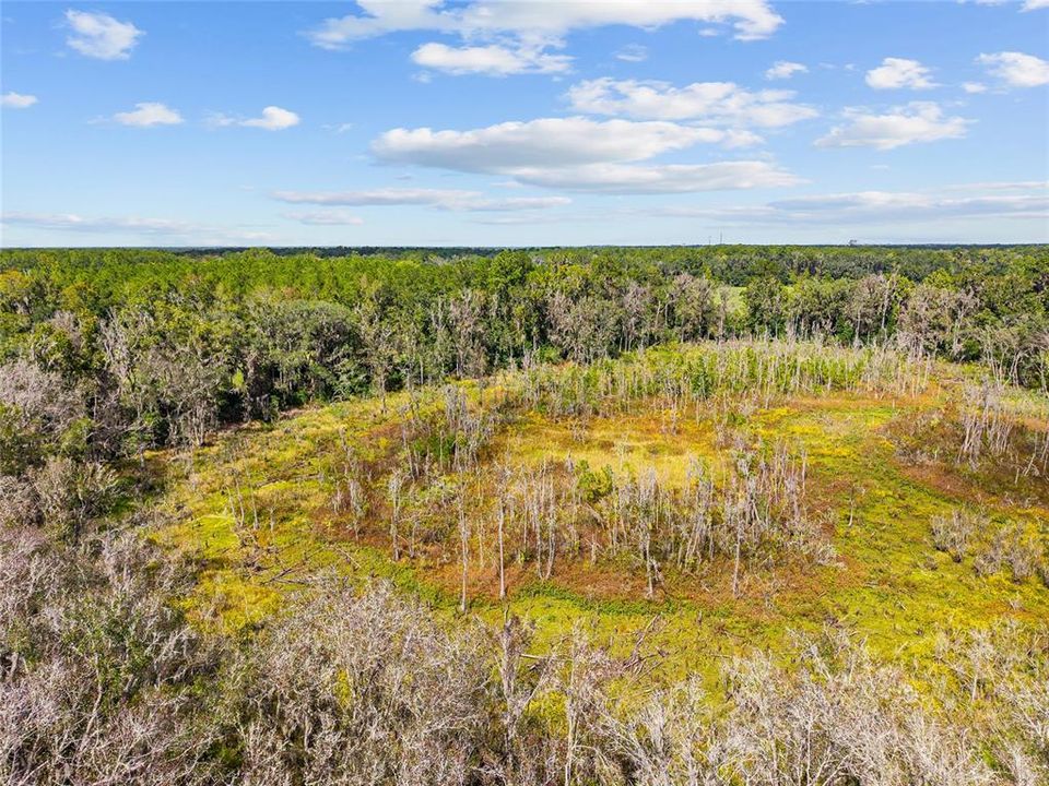 For Sale: $475,000 (17.51 acres)