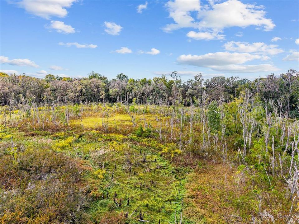 For Sale: $475,000 (17.51 acres)