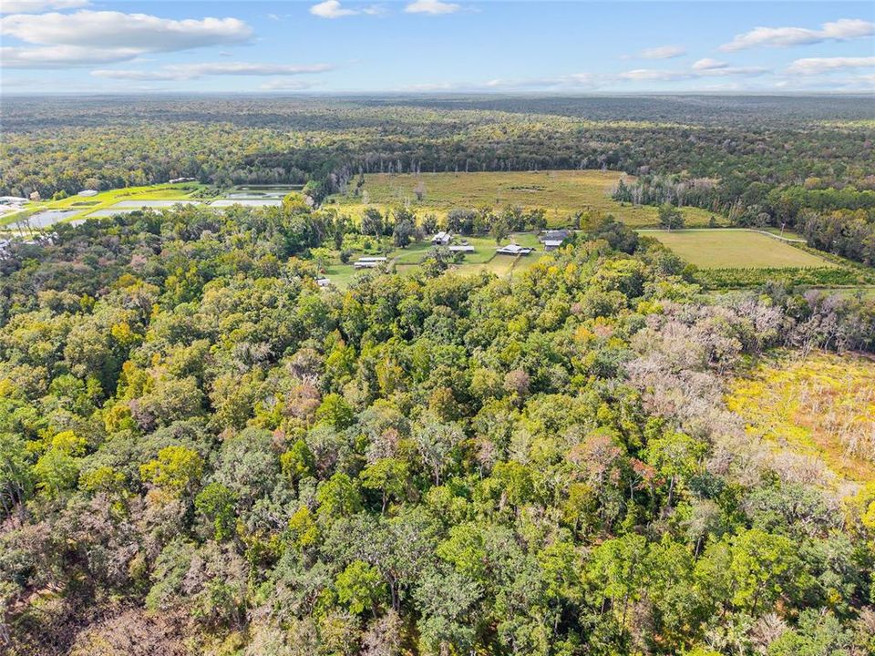 For Sale: $475,000 (17.51 acres)