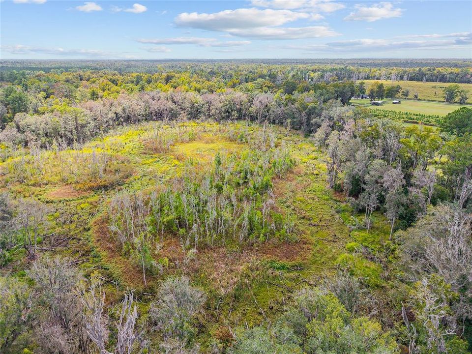For Sale: $475,000 (17.51 acres)