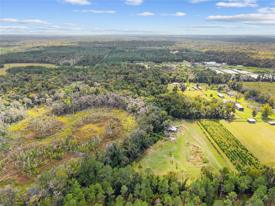 For Sale: $475,000 (17.51 acres)