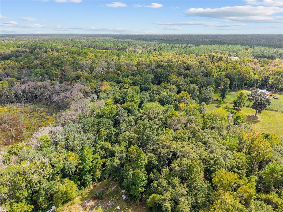 For Sale: $475,000 (17.51 acres)