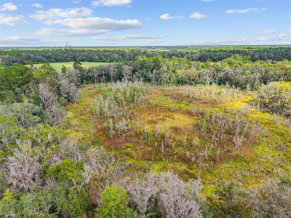 For Sale: $475,000 (17.51 acres)