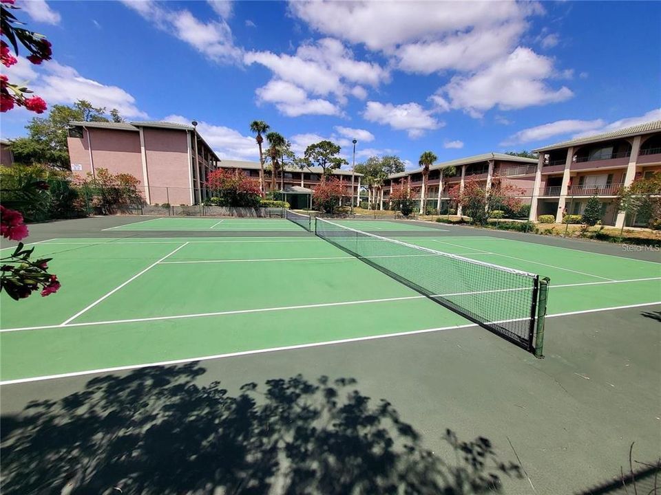 For Rent: $1,175 (1 beds, 1 baths, 496 Square Feet)