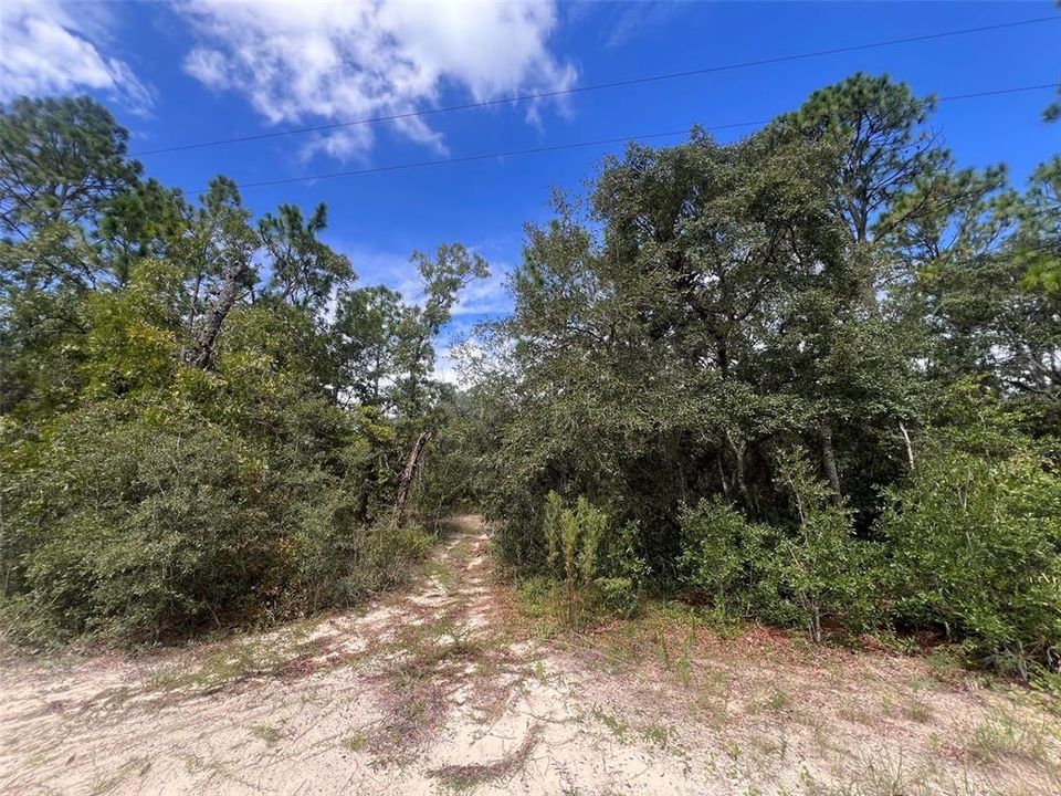 На продажу: $130,000 (5.01 acres)
