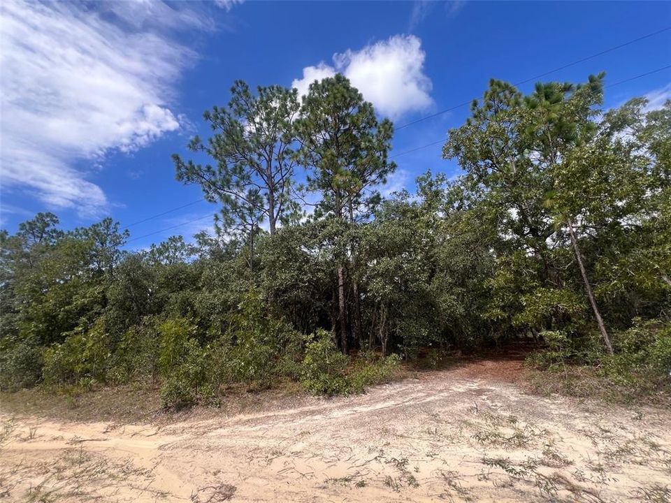 На продажу: $130,000 (5.01 acres)