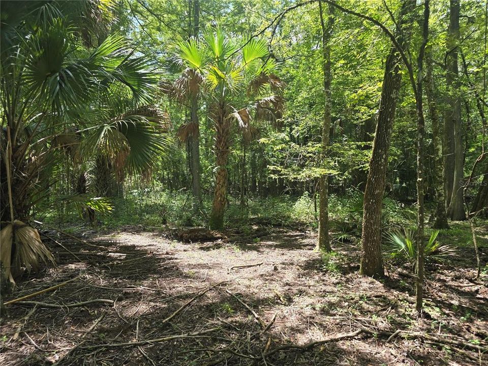 For Sale: $85,000 (1.72 acres)