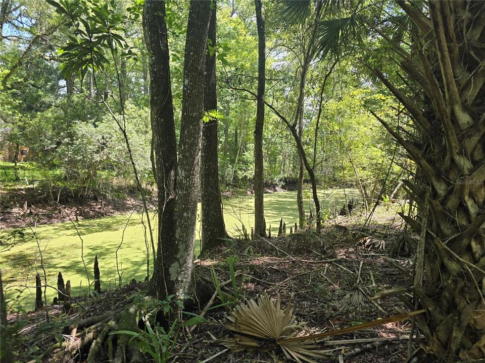 For Sale: $85,000 (1.72 acres)