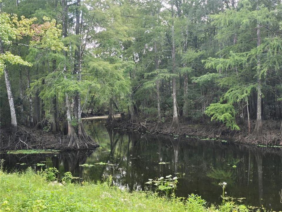 For Sale: $85,000 (1.72 acres)