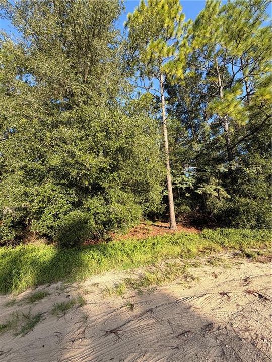 For Sale: $60,000 (2.00 acres)