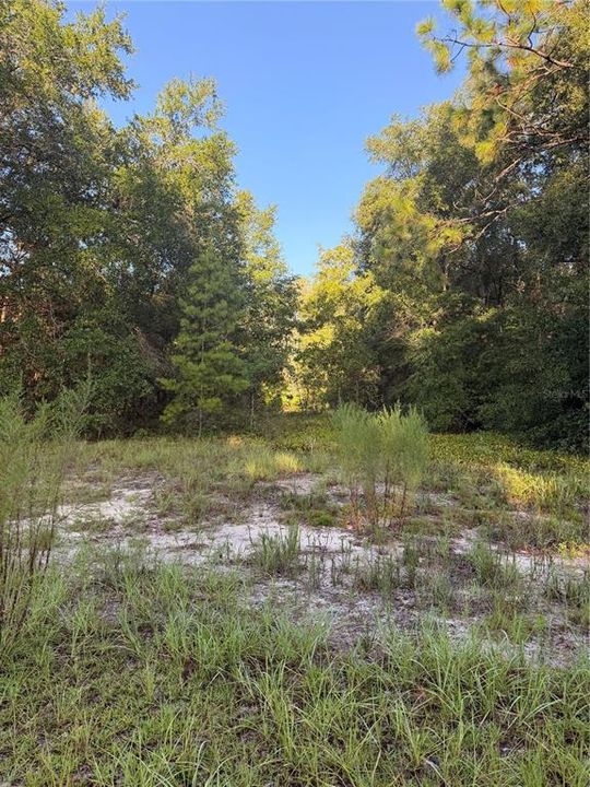 For Sale: $60,000 (2.00 acres)