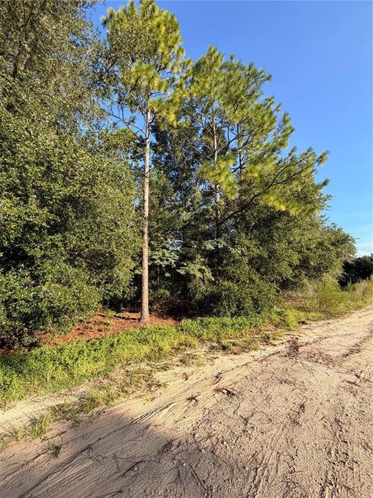 For Sale: $60,000 (2.00 acres)