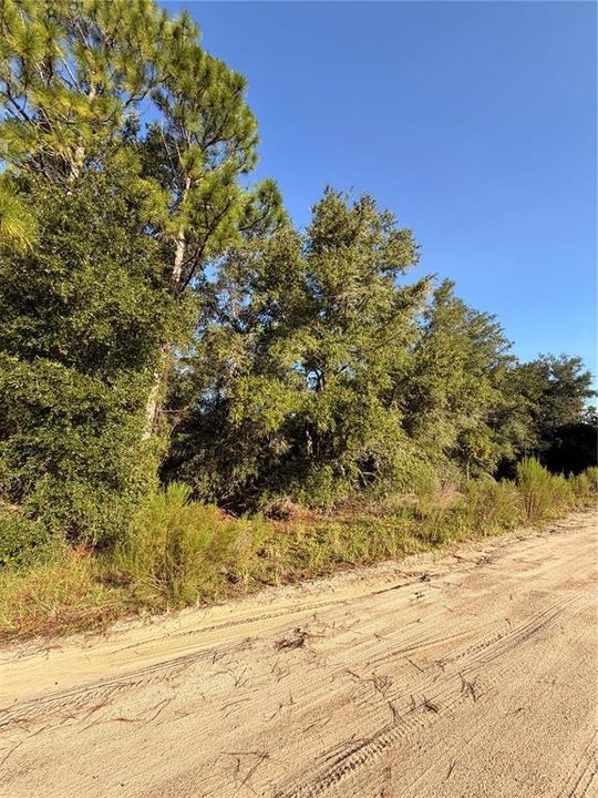 For Sale: $60,000 (2.00 acres)