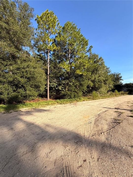 For Sale: $60,000 (2.00 acres)