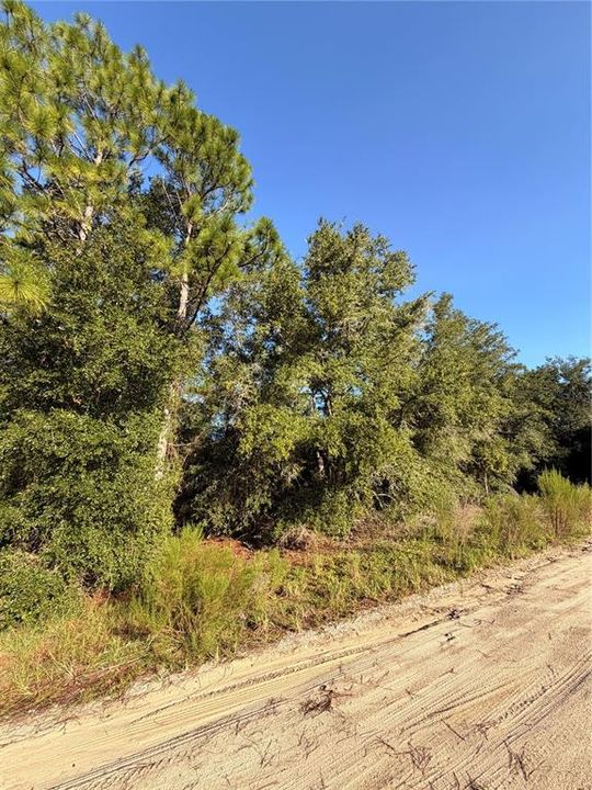 For Sale: $60,000 (2.00 acres)
