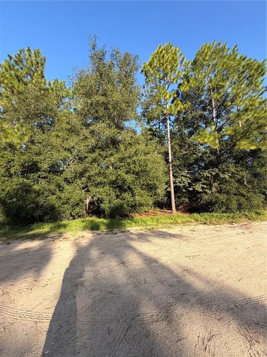 For Sale: $60,000 (2.00 acres)
