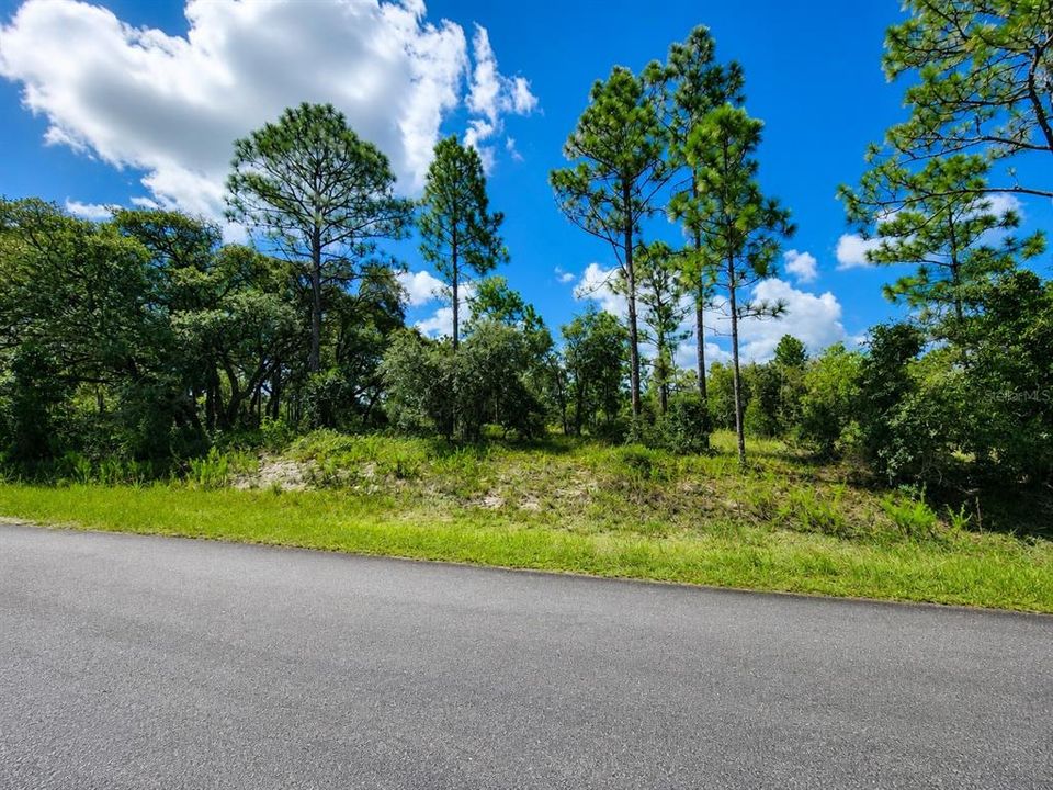 待售: $47,900 (0.99 acres)