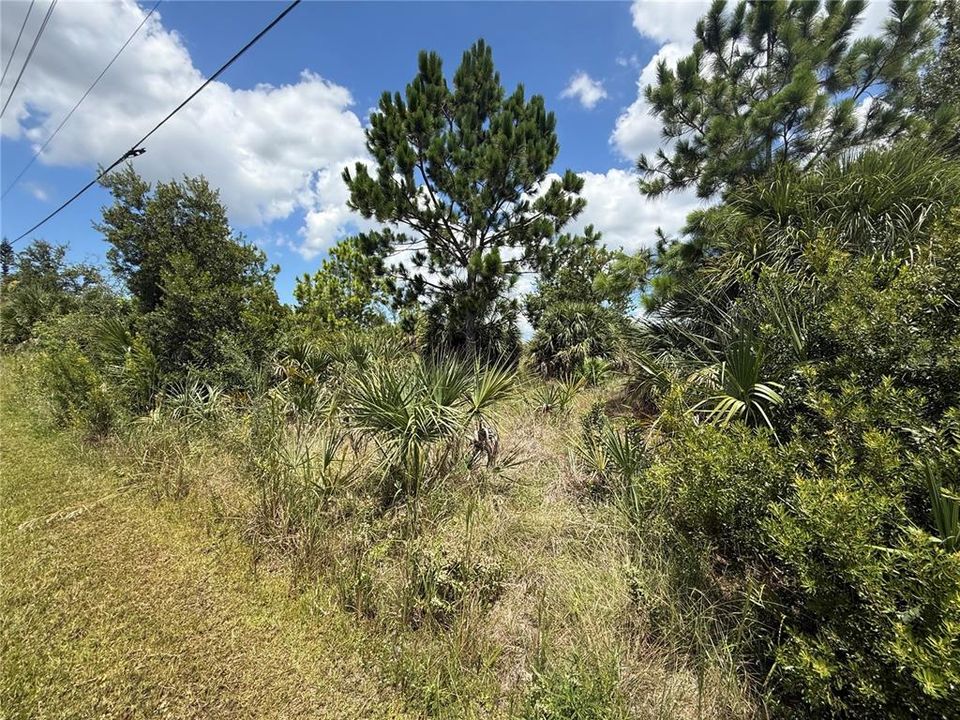 For Sale: $86,000 (0.23 acres)