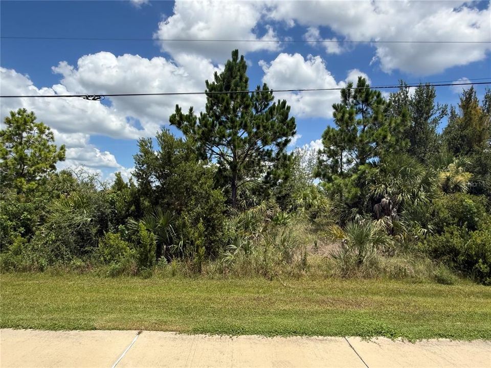 For Sale: $86,000 (0.23 acres)