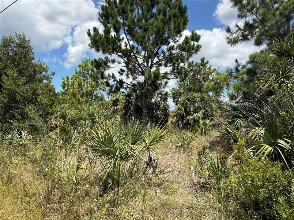 For Sale: $86,000 (0.23 acres)